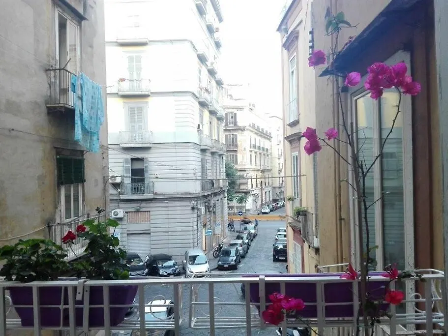 Joyfull Home In The Historical Center Naples Apartment